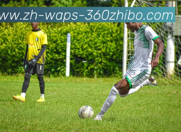 360直播发展历程